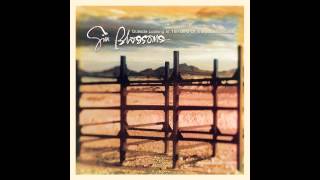 Gin Blossoms, \