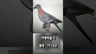 더 이상 볼 수 없는 멸종한 동물들