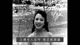 桃花江 - 姚莉 Yao Lee / 鍾情 Chung Ching