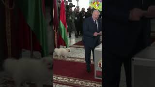 Belarus Election | Alexander Lukashenko Casts Vote But Pet Dog 'Umka' Becomes the Star | CLRCUT