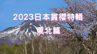 2023日本賞櫻特輯-東北篇(弘前城 | 蘆野公園 | 岩木山櫻花隧道 | 田澤湖 | 米內淨水場) | Japan Cherry Blossom:Touhoku region