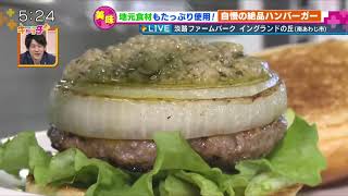 イングランドの丘で「コアラ島バーガー」