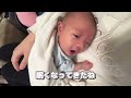 ママのお腹の上で寝る新生児ふうちゃん