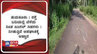 ತುಮಕೂರು : ರಸ್ತೆ ಬದಿಯಲ್ಲಿ ಬೆಳೆದು ನಿಂತ ಜಂಗಲ್ ಗಿಡಗಳು : ನೀಡುತ್ತಿವೆ ಅಪಘಾತಕ್ಕೆ ಆಹ್ವಾನ