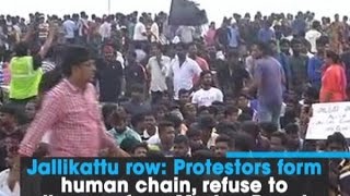 Jallikattu row: Protestors form human chain, refuse to disperse from Marina Beach - Tamil Nadu News