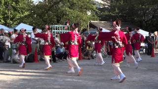 SUMMER ZIPPERさん／深川公園2回目／深川よさこい祭り2011