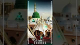 🥀Maula Ya Salim full screen status Madina Sharif status Islamic status Eid a Milad un Nabi status🥰