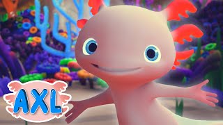 Axl's Underwater Adventures - Hi! I'm Axl The Axolotl!