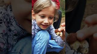 Alena Mama and dog Ray Gathering mushrooms in the forest