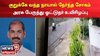 Kovilpatti News | குறுக்கே வந்த நாயால் நேர்ந்த சோகம் - அரசு பேருந்து ஓட்டுநர் உயிரிழப்பு