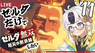 【ゼルダ固定】ゼルダ無双：厄災の黙示録やる。11【財政危機】