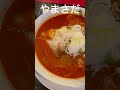 辛味噌中華そばとミニカレー@中華そばやまさだ　長野県小諸市　bgm going steady 銀河鉄道の夜