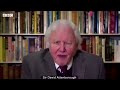 Attenborough gives stark warning on climate change to UN   BBC News