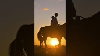 rdv samedi 16h00 ❤️ #equitation #botswana #safari #cheval #horse #equestrian