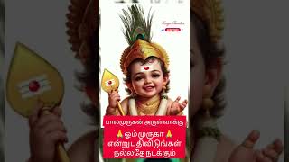 பாலமுருகன் அருள் வாக்கு #murugan #muruganvaaku #thiruchendurmurugantemple #shots #tamil #viralvideo