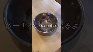 介護施設あるある料理👩‍🍳栗を使って！？ある物を作りました♡#shorts #short #グループホーム #高齢者