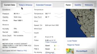 Best Forecast Tutorial