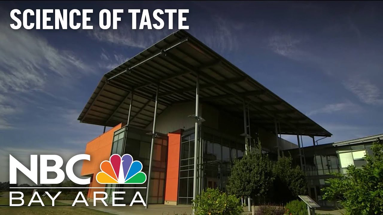 New UC Davis Lab Showcases Science Of Taste - YouTube