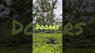 Dooars Trip | Dooars Tour | Kolkata to Dooars | Dooars Tour Plan |  #travel #dooars #dooarstour