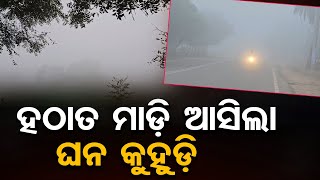 ହଠାତ ମାଡ଼ି ଆସିଲା ଘନ କୁହୁଡ଼ି | Odisha Reporter