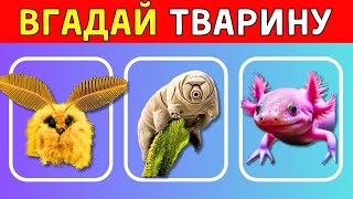 Вгадай ТВАРИНУ✅ |😮 ШОК!  ТАКИХ ТИ ТОЧНО НЕ БАЧИВ !!! |   Вікторини Українською 💙💛    #квіз