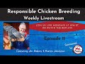 Responsible Chicken Breeding - Episode 11