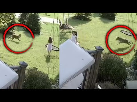 Why it is surprising that Loretta and Iggy try to help Max escape?