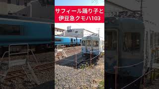 サフィール踊り子と伊豆急クモハ103 #鉄道 #電車 #サフィール踊り子 #伊豆急行線 #伊豆急100系