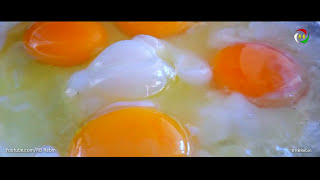 Egg Cooking_بيضة_هێلکە و ڕۆن