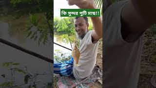 কি সুন্দর পুটিমাছ!! বঁড়শি দিয়ে ধরা হলো!!  #shorts #short #fishing #fish #village #মাছ #পুটিমাছ