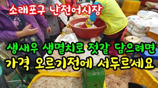 생멸치가 1말에 단돈 만원이라니 멸치젓 담으려는 분들의 줄이 끝이없는게 난리났어요