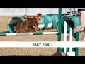 The Kennel Club International Agility Festival 2024 Day 2 Main Ring