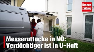 Messerattacke in NÖ: Verdächtiger ist in U-Haft | krone.tv NEWS