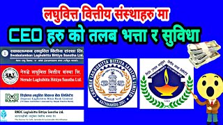 नेपालमा लघुवित्तका CEO हरुकाे तलब भत्ता// यति कमाउछन बार्षिक // Salary of Microfinance CEO