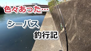 色々あった…シーバス釣行記【2022年5月4日】