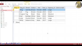 How to Delete Records Using SQL in Microsoft Access