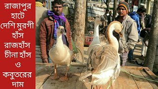 নাটোর রাজাপুর হাটে দেশি মুরগী, হাঁস, রাজহাঁস, চীনা হাঁস ও কবুতর কিনতে দাম জানুন | Village market