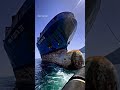 Life at sea 🚢 #merchantnavy #shorts #short #shortvideo #viral #viralshorts #trending