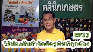 EP13 คลินิกเกษตร วิธีป้องกันกำจัดศัตรูพืชที่ถูกต้อง