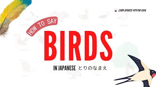 Learn Japanese Vocabulary ｜15 Bird Words in Japanese【鳥】