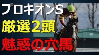 2018プロキオンS大穴競馬予想～穴党を刺激する高配当はこの2頭から狙う！