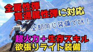 【サンブレイク】Ver.15ライト決定版！超火力と生存スキルを合わせた装備が全属性弾・貫通属性弾に対応出来てすごい！使いまわしで楽しよう！【装備紹介】