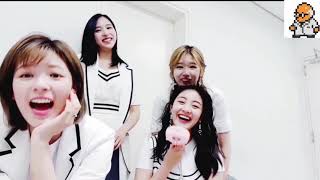 트와이스 정연이 일본어 실력은 feat 사나+콧수염=사나 아버지