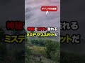 「何故日本に…」歴史が覆る！？日本の田舎で撮った