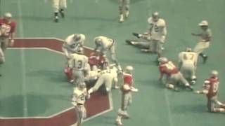 1973 ohio vs michigan