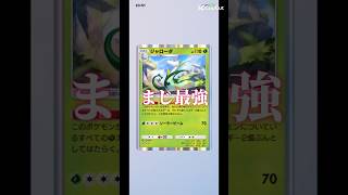 ポケポケ強いカードチャンネル登録お願いします！