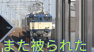 【最後のE131系 日光-宇都宮線 配給】EF64-1032号機+E131系TN15編成 配給輸送