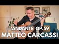 Andante Op.59 by Matteo Carcassi. Matthew McAllister (Guitar).