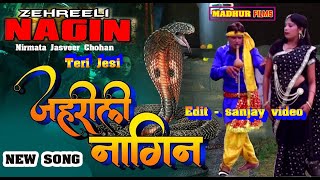 तेरे जेसी जहरीली नागिन | tere jesi zehrili nagin | New Nagin Song 2025 |  New Haryanvi Song  2025