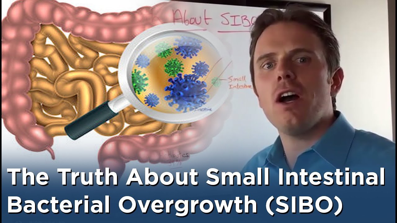 The Truth About Small Intestinal Bacterial Overgrowth (SIBO) - YouTube